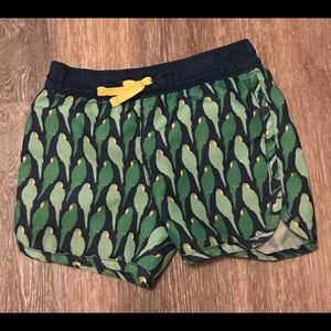 Gap 18-24 months toddler bathing suit bottoms